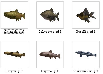 animales / pescado  2-30