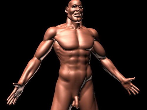 Descarga gratis 3D Modelos!