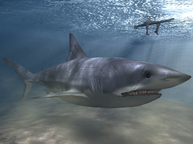 Descarga gratis 3D Modelos!