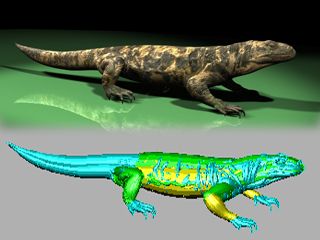 Descarga gratis 3D Modelos!
