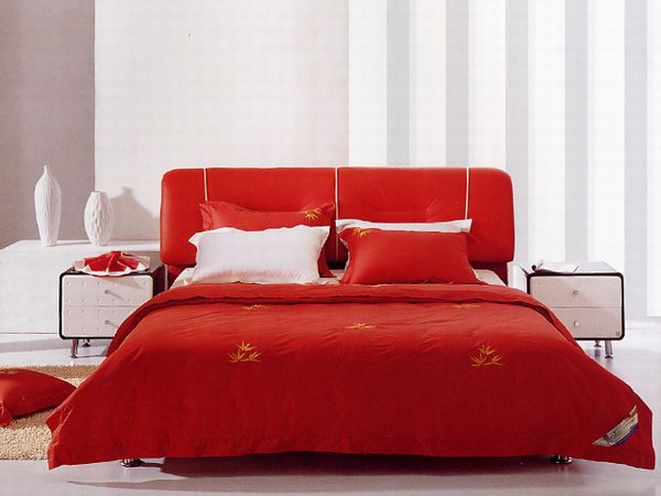 Comfortable Double Bed