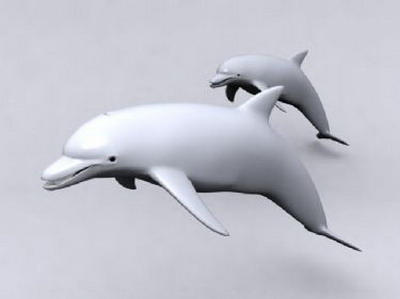 Dolphin Modelo 3D