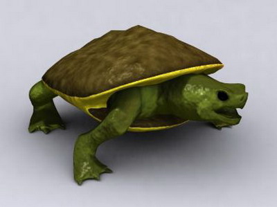 Modelo 3D de la Tortuga