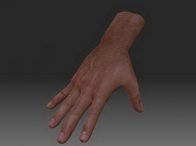 Modelo 3D de la mano