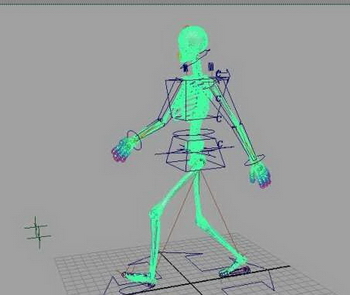 In situ esqueleto andante femenino modelo en 3D de