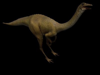 Modelo en 3D de los dinosaurios de cuello largo