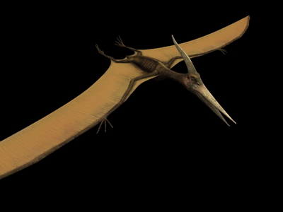 Modelo 3D de pterosaurio