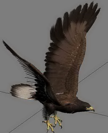 Modelos Soaring Eagle 3D