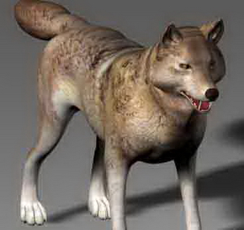 Big Bad Wolf Modelos 3D