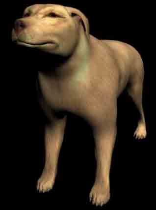 Big Yellow Dog Modelo 3D de