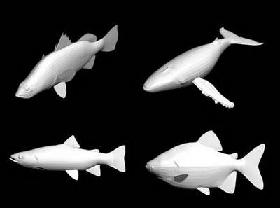 Modelos 3D