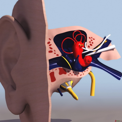 Modelos 3D