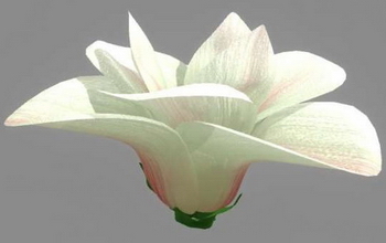 Flor, modelos 3D
