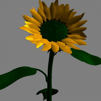 Flor, modelos 3D