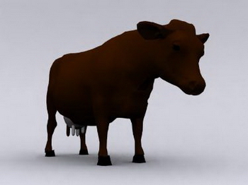 Modelos 3D