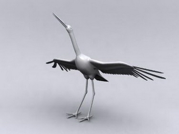 Modelos 3D