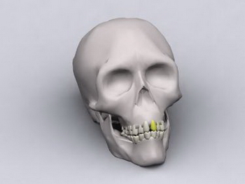 Modelos 3D