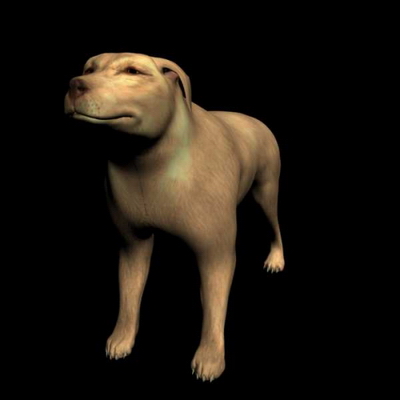 Modelos 3D