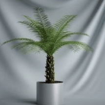 Planta de los bonsai de la serie - Modelo 3D de los rboles de coco (incluidos los materiales)