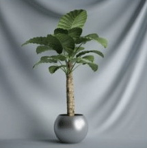 Planta de los bonsai de la serie - Modelo 3D de hojas de rboles (inclusive material)