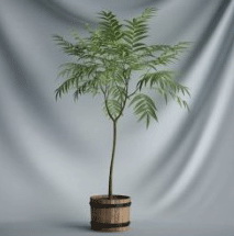 Bonsai Flora Series - Árbol modelo 3D (incluyendo materiales)