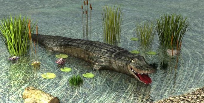 3D Animales - Cocodrilo
