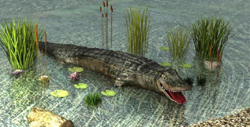 3D Animales - Cocodrilo
