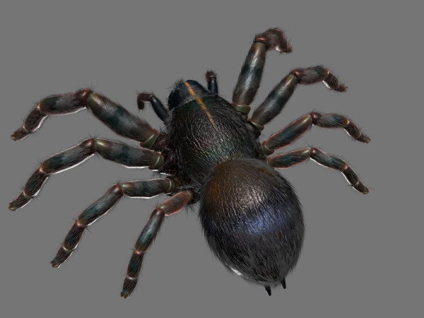 Modelo en 3D de las hormigas Negro
