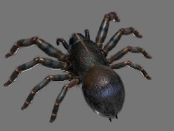 Modelo en 3D de las hormigas Negro