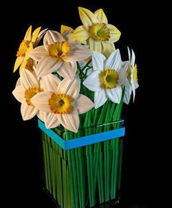 La planta en maceta - crisantemos florero de cristal
