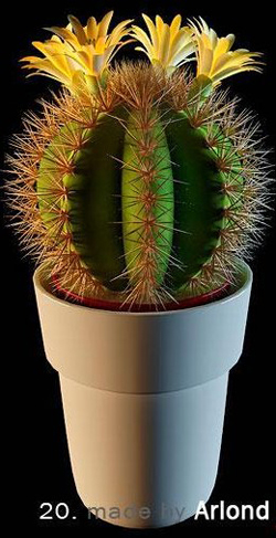 Las plantas en macetas - bola de cactus