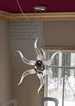 Curiosas estrellas con forma de araña de cristal