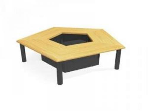 Pentgono regular mesa de conferencias