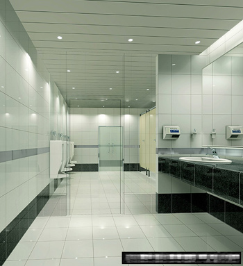 Modelo de baño pblico