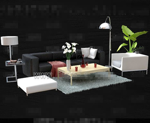 Negro y blanco sof simple estilo y combinada
