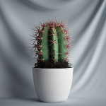 Modelos Cactus 3d