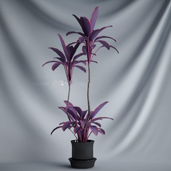 Modelos prpura Bonsai 3d