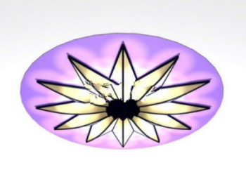 Las grandes luces del techo loto