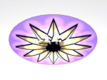 Modelo 3d araña prpura