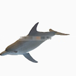 Modelos lindos delfines 3d