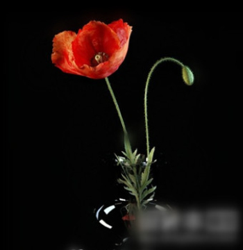 Modelo 3d decoraciones de flores en casa