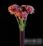 Flores rojas de la joyera de modelos 3D