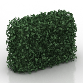 modelo de pared verde