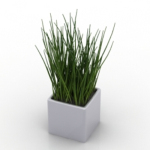 hierba modelo planta modelo en maceta