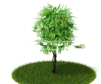 3d modelos de plantas de todo el parque