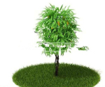 3d modelos de plantas de todo el parque