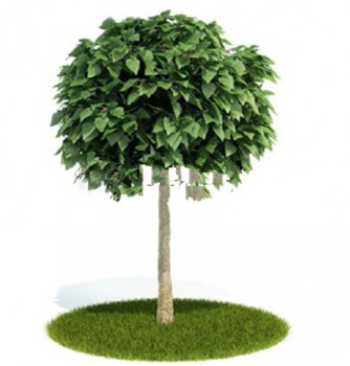 Hermosos rboles de modelos 3D