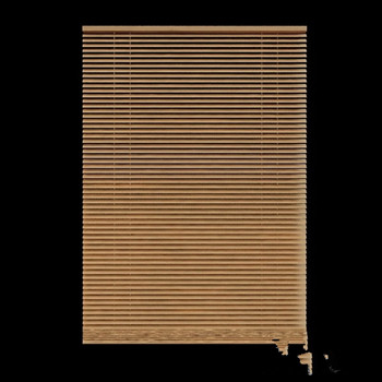 Bamboo Curtain modelo 3d