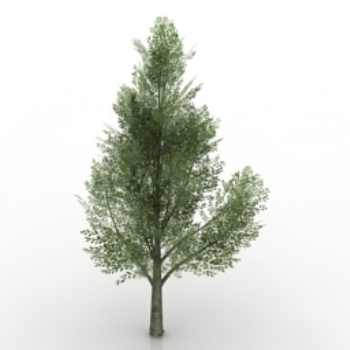 Árboles verdes modelo 3d