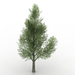 Árboles verdes modelo 3d